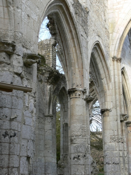 Jumièges (7) mars 2012